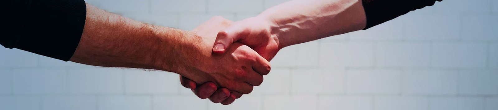 partner_bannner
